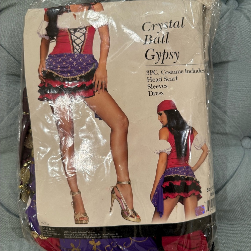 Crystal Ball Gypsy Costume